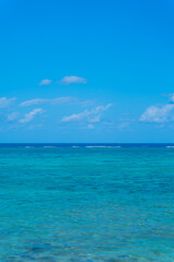 Fototapeta premium 石垣島のビーチ