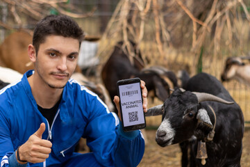 Vet showing a mobile with the confirmation of a animal vaccination in a farm