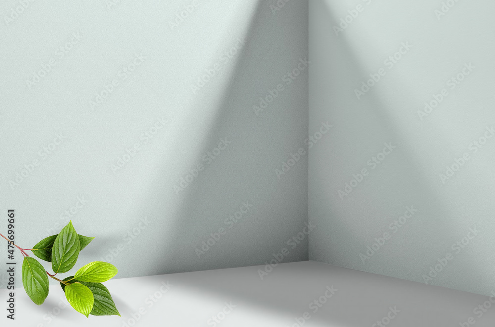 Aufkleber Simple background image  - perspective of corner of room with shadows from different angles delicate light pistachio color. Branch with fresh green leaves in corner of image.