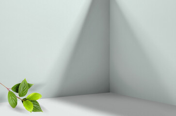 Simple background image  - perspective of corner of room with shadows from different angles...