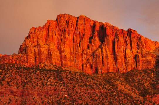 Fiery sunset on The Watchman from Springdale, Zion National Park, Utah, Southwest USA © Pedro