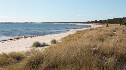 Fototapeta na wymiar Coastal panorama at Lyckesand beach with ocean on the island of Oland in the east of Sweden.