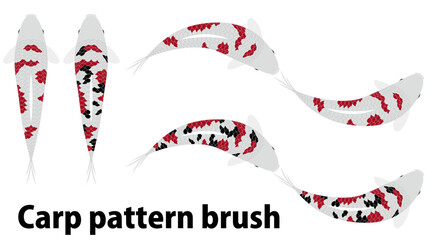 colored carp brush.