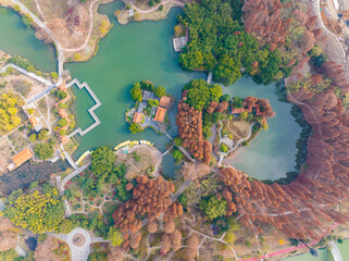 Wuhan Qingshan Park late autumn scenery in Hubei, China