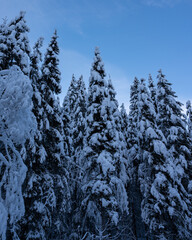Gosau im Winter Ober&ouml;sterreich