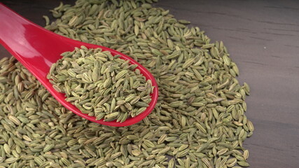 Fennel is a highly aromatic and flavorful herbs used in cooking and drinks are used as breath freshener.