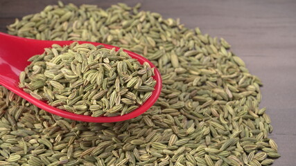 Fennel is a highly aromatic and flavorful herbs used in cooking and drinks are used as breath freshener.