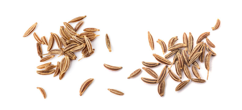 Caraway isolated on white background.