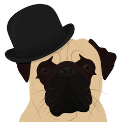 Pug dog in bowler hat vector illustration
