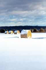 Round hay bales in a Wisconsin field during winter
