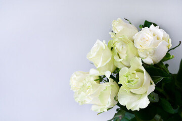 Obraz na płótnie Canvas Bouquet of white roses on a white background with soft focus. Spring flower background. Copy space