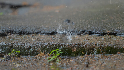 Raindrops hitting puddles on a rainy day. Rain drops falling in a big puddle on urban asphalt in the town.