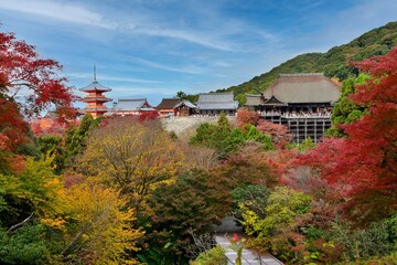 秋の清水寺の全景