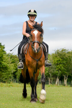 Middle aged woman riding her horse in the summer sunshine 