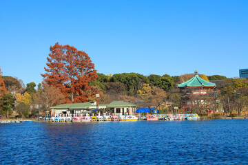 Fototapeta premium 【東京都】上野恩賜公園周辺と不忍池の風景