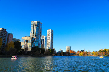 Fototapeta premium 【東京都】上野恩賜公園周辺と不忍池の風景