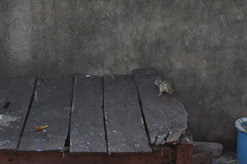 Different shades in a photo