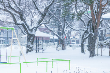 雪の積もった公園