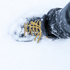 雪を踏みしめる足