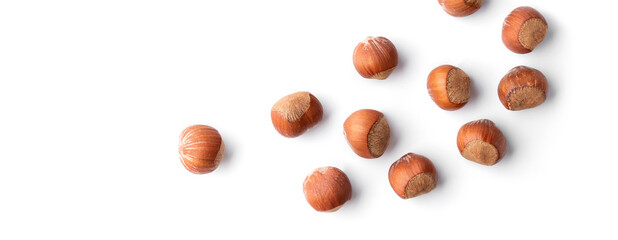 hazel nut healthy ingredient organic raw closeup ,hazelnut on white isolated