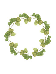 Fototapeta premium Watercolor illustration, green round eucalyptus frame, wreath is ideal for making postcards, invitations