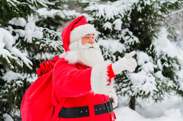 Surprised Santa Claus walks through a snowy coniferous forest at the North Pole in Lapland. Merry...