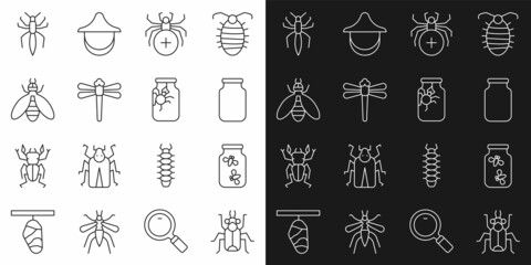 Set line Beetle bug, Fireflies bugs in a jar, Glass, Spider, Dragonfly, and icon. Vector