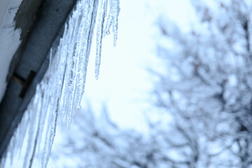 icicles on the roof