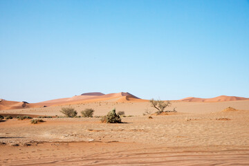 Fototapeta na wymiar Arid landscape in Namib desert. Blue sky, no people. Namibia