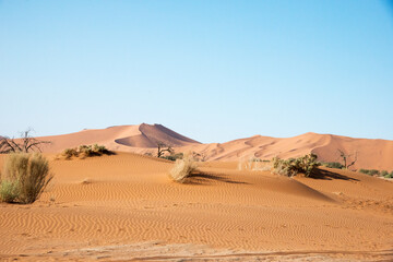 Fototapeta na wymiar Beautiful landscape with sand dunes in Namib desert. No people. Namibia