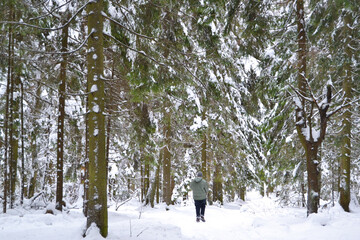 A teenager walks alone in a winter forest along a path