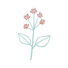 Single hand drawn twig with flower. Doodle vector. Isolated