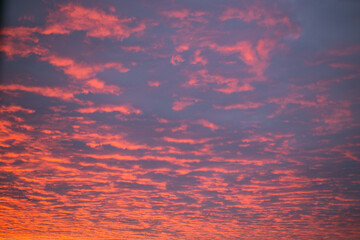 Fototapeta premium red, pink clouds in the sunset sky