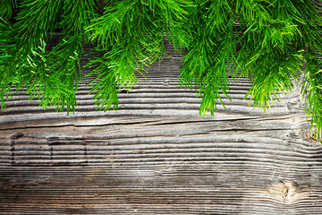 Chic Christmas tree background. Vintage tree, young branches of fir, larch on gray aged wood. Ready mock up background.