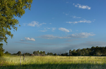 Beautiful rural landscape with blue sky with white and gray clouds, grass and trees