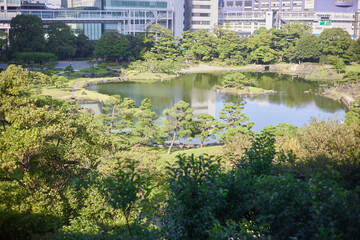 Fototapeta na wymiar ビル街の中にある日本庭園
