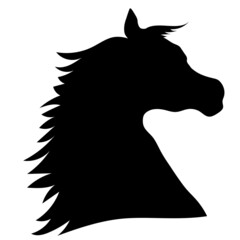 horse black head with long curly hair on a white background