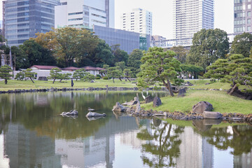 ビル街の中にある日本庭園
