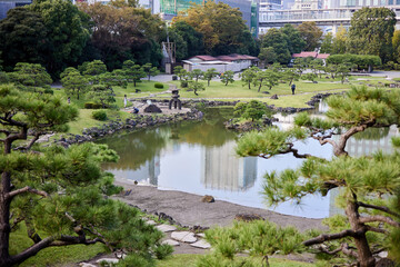 Fototapeta premium ビル街の中にある日本庭園