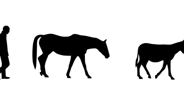 Man walking with donkey and horse, animation on the white background