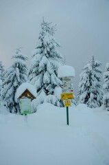 snow covered house