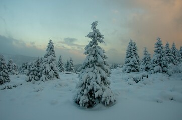 winter landscape in the mountains