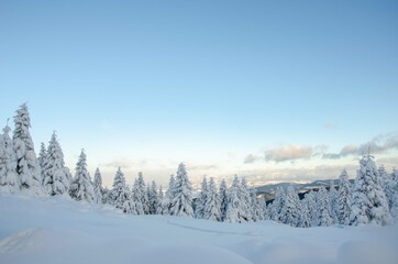 Fototapeta premium winter landscape in the mountains