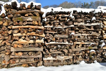 Logs of wood in the winter forest