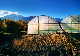 Greenhouses in the rays of the rising sun