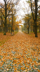 Park Lazienki in Poland