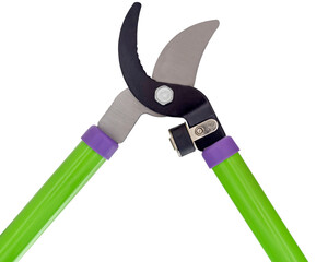 gardening secateurs for cutting branches isolated on white