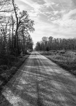 We were looking down a gravel dirt road with winter trees lined along the route. The trees create shadows from the hard morning sunlight. © JMP Traveler