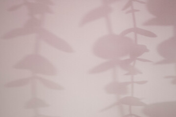 Creative copyspace with shadows of 
leaf on a soft pink wall. Top view of leaves shades on the light pastel background. Flat lay style. Minimal summer concept with flower shades.