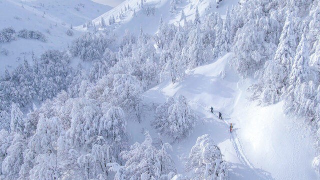 AERIAL: Three tourists hike along a trail during splitboarding trip to Slovenia.